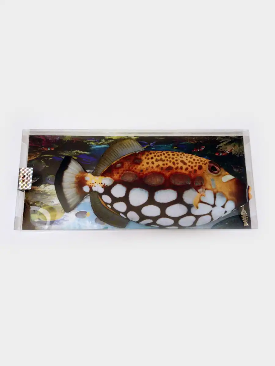 File Fish Pencil Case