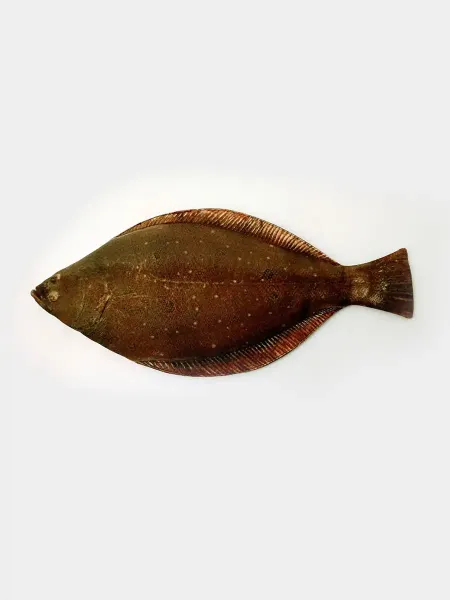 Flat Fish Pencil Case