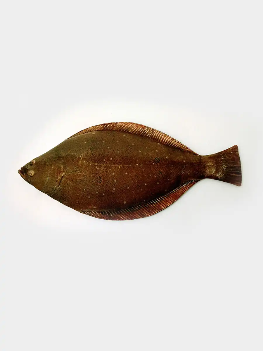 Flat Fish Pencil Case