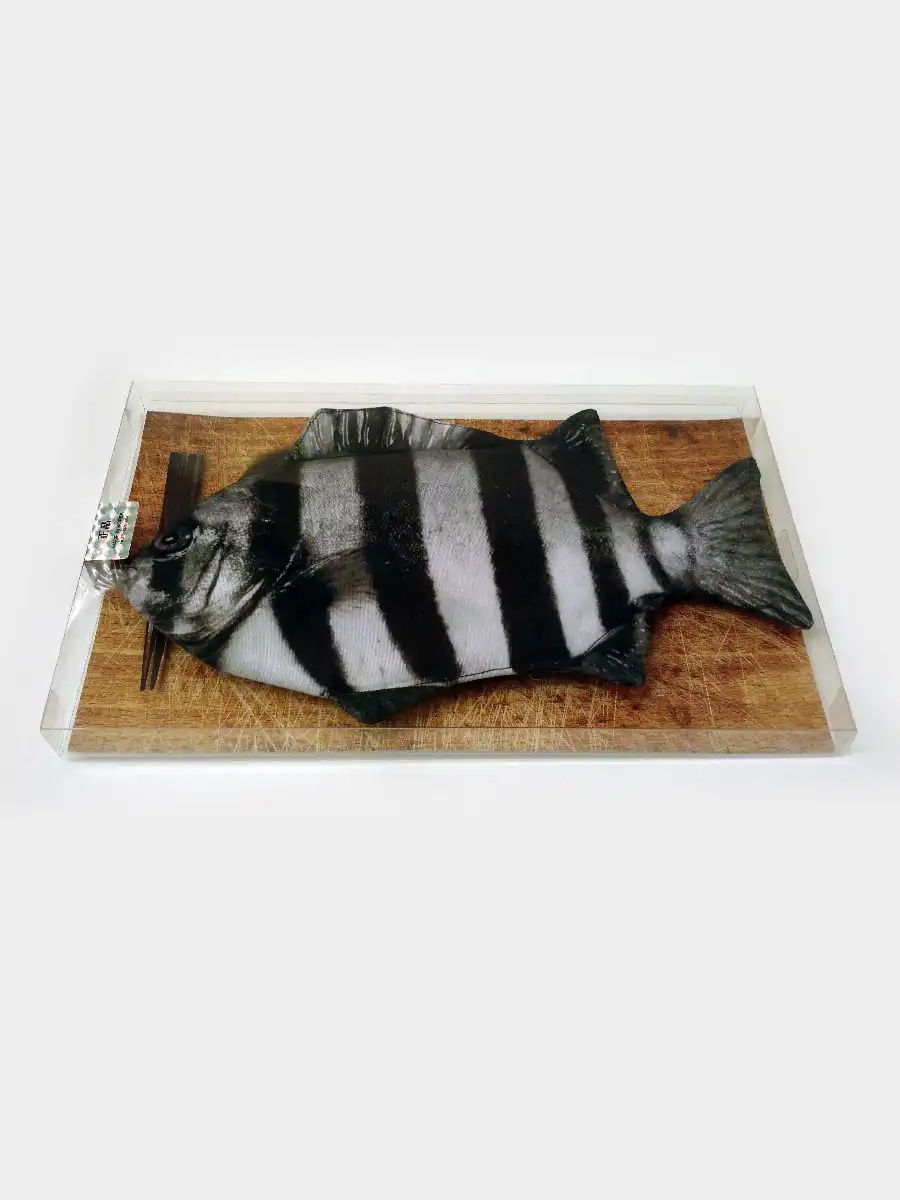 Rock Bream Fish Pencil Case