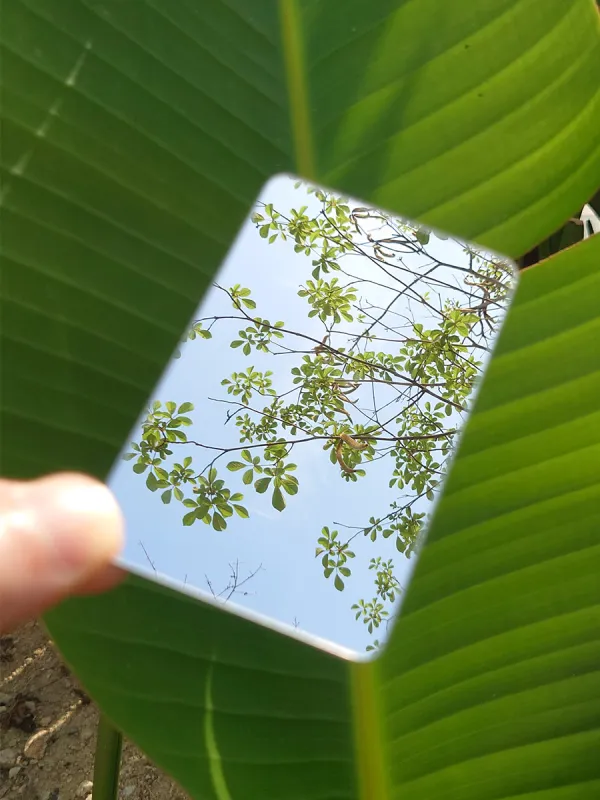 Mini Mirror