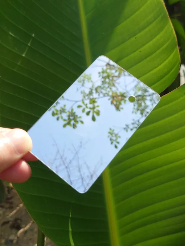 Mini Mirror Rescue