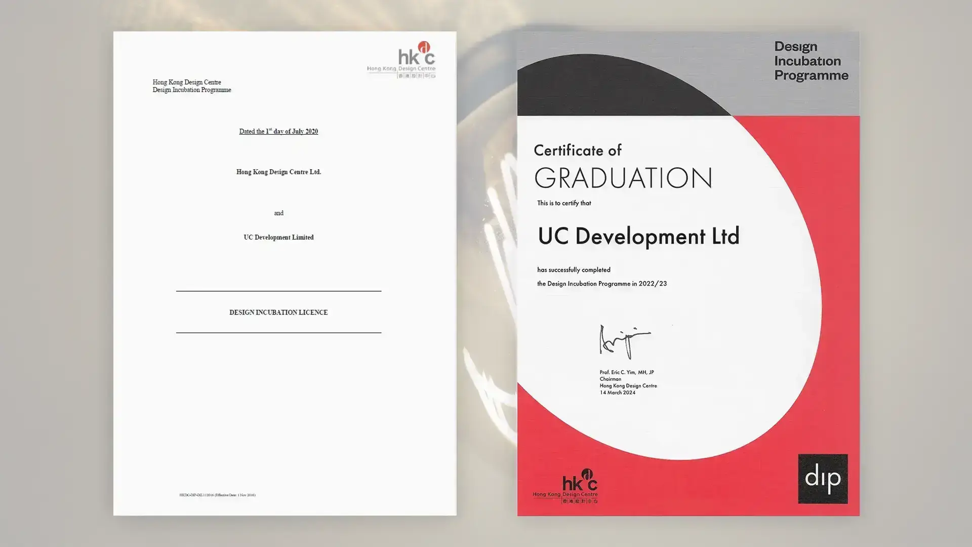 DIP Graduation Company