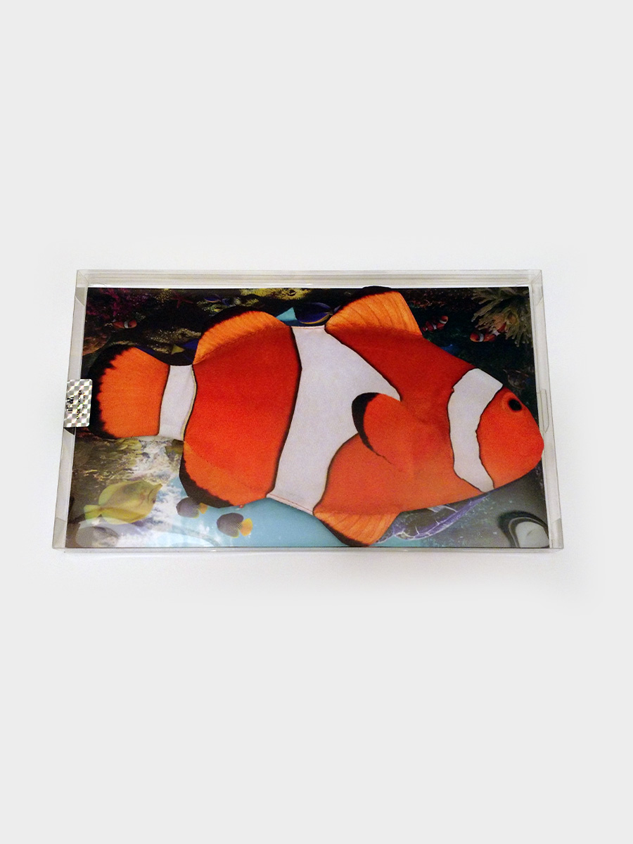 Clown Fish Pencil Case