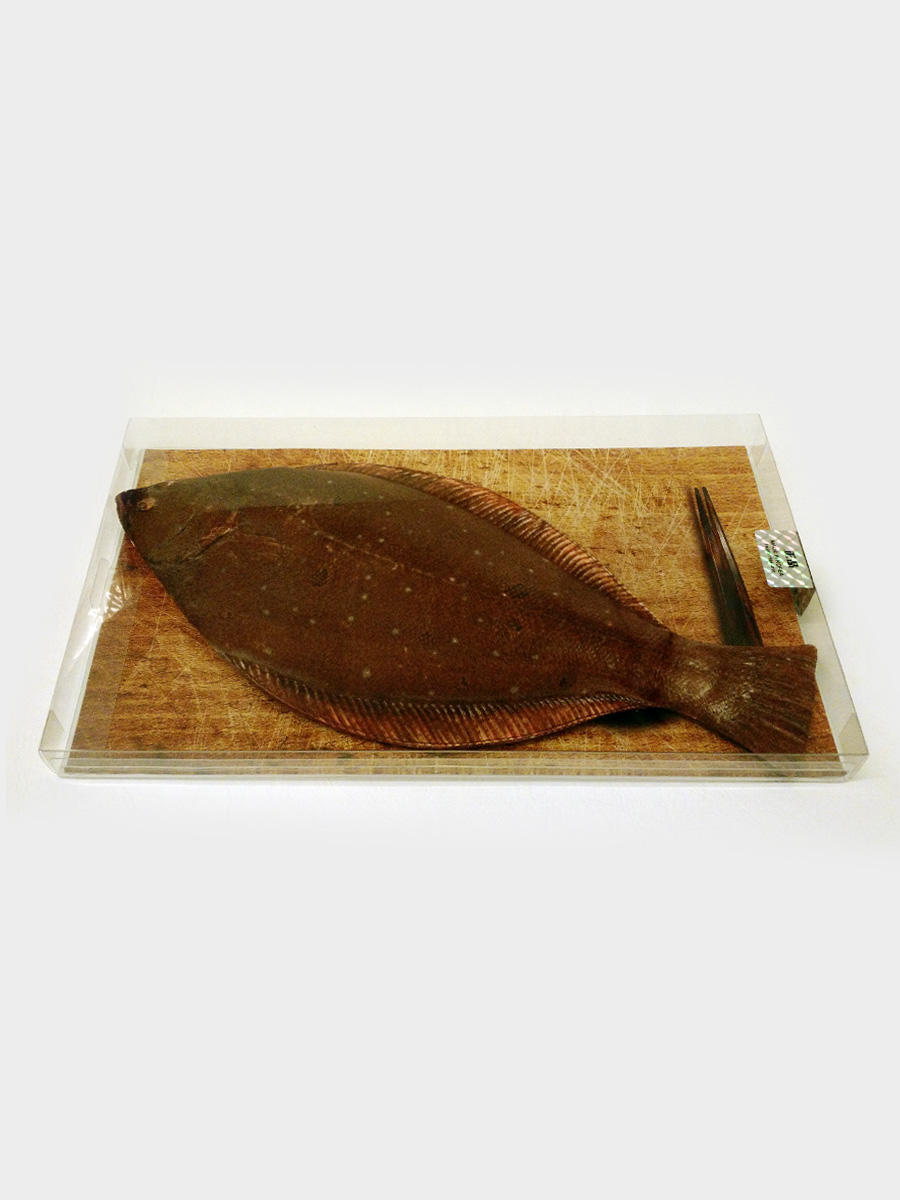 Flat Fish Pencil Case